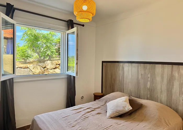 Le Palmier 10 Personnes Piscine, Vue Mer, *