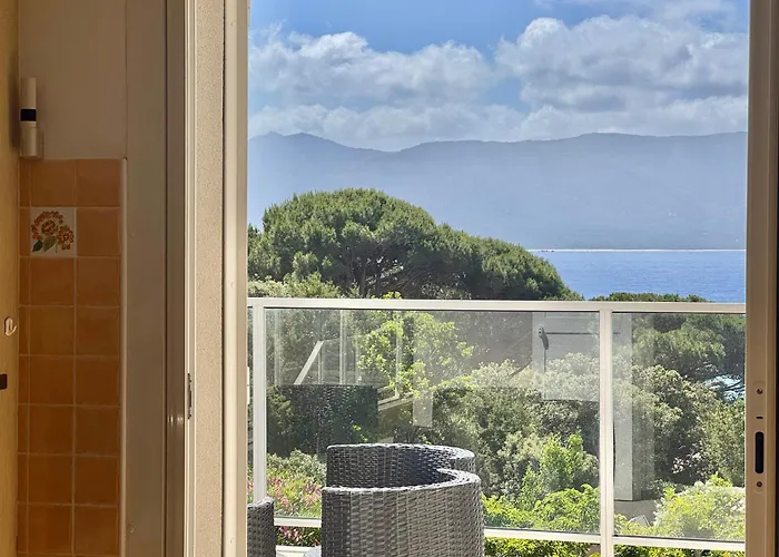 Le Palmier 10 Personnes Piscine, Vue Mer,