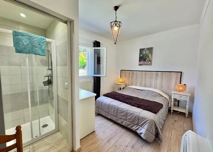 Villa Le Palmier 10 Personnes Piscine, Vue Mer, Olmeto (Corsica)