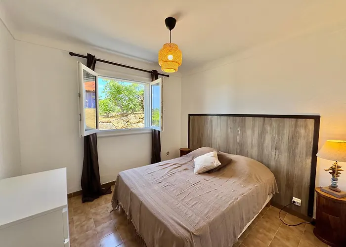 Le Palmier 10 Personnes Piscine, Vue Mer,