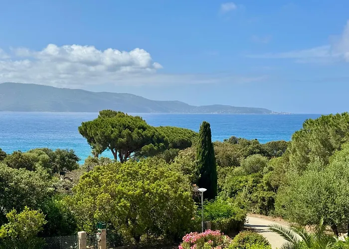 Villa Le Palmier 10 Personnes Piscine, Vue Mer,