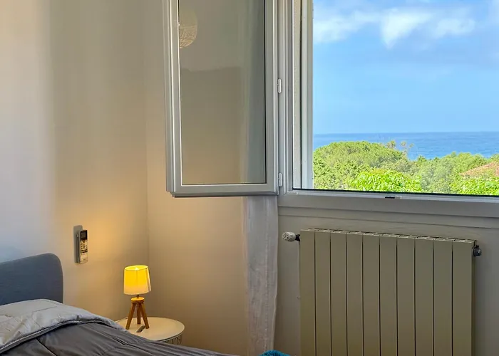 Le Palmier 10 Personnes Piscine, Vue Mer, *