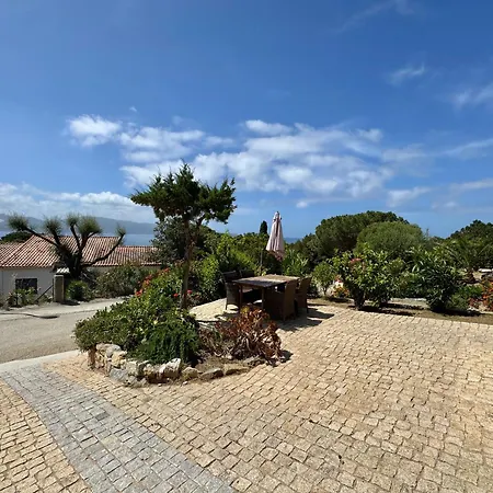 Le Palmier 10 Personnes Piscine, Vue Mer,