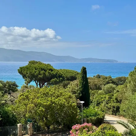 Villa Le Palmier 10 Personnes Piscine, Vue Mer,