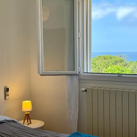 Le Palmier 10 Personnes Piscine, Vue Mer, *